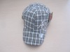 Wholesale 2010 new style baseball cap