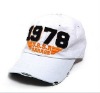 Wholesale destroy washed cap