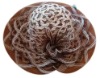 Wholesale Fashion hats, Lady hats