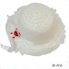 2011 cool summer must-have stylish summer ladies wide brim hat