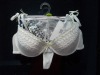 Wholesale sexy bra & briefs sets with hanger