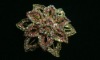 Wholesale ALLOY PINS CB-X015