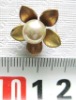 Wholesale pearl collar pin