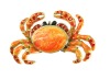 Wholesale animal brooch-crab