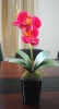 ARTIFICIAL FLOWER ELEGANT ORCHID SILK FLOWER