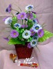 sweet silk flower