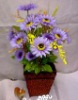 Wholesale plastic blue chrysanthemum