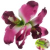 Wholesale hot pink orchid flower hair accessory