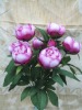 Wholesale Artificial flower,Silk flower,Flower bush,bouquet