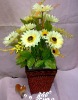 Wholesale plastic chrysanthemum