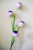 Wholesale Lavender