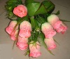 Wholesale vivid artificial silk flowers(6233),in pink colour