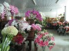 Wholesale silk flower