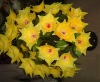 Wholesale vivid artificial silk flowers