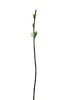 Wholesale 2010 fashion Simulation Flowers