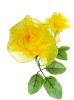 Wholesale Silk flower vivid with multy color
