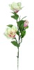 Wholesale artificial flower(bombax)