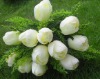 Wholesale artificial 12 heads white tulip silk flower
