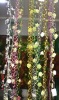vivid artificial silk flowers(6209)