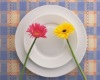 Wholesale soup plate, ceramic plate, porcelain plate SGS
