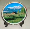 Wholesale ceramic plate