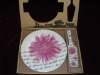 dinner porcelain cake plates with scoop set