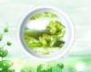 Wholesale Round Melamine Plate