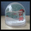 photo snow globe
