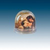 Wholesale photo globe