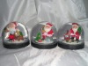 Wholesale snow globe