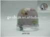 Wholesale photo water snow globe