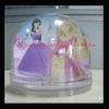 Wholesale photo snow globe