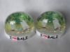 Wholesale Snow ball,water dome,snow globe