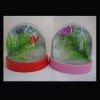 photo frame snow globe with flower