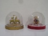 Wholesale Water Globe & Snow Globe