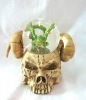 Wholesale Polyresin Skull Head Water Globe Decoration