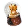 Wholesale Snow dome