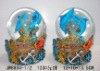 lastes dolphin water ball glass gifts