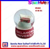 custome Snow Globe --NW1461K