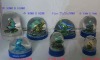 Wholesale Customized glass dome