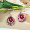 Wholesale 2011 the most popular fashion costume jewelry red crystal earrings