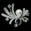 Wholesale brooch/fashion accessories