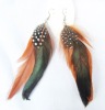 Wholesale vogue jewelry pinfeather earrings