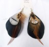 Wholesale enchanting feather / plume earrings jewelry