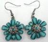 Wholesale Costume jewelry earring