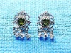 Wholesale CTE0028 earring fashion jewelry