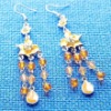 Wholesale CTE0026 earring fashion jewelry