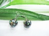 Wholesale Fashion shell earring/fashion abalone shell earring/fashion shell jewelry/natural shell earring