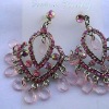 Wholesale CTE0042 earring fashion jewelry