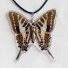 Wholesale Unique and beautiful REAL BUTTERFLY 2012 new trendy fashion jewelry